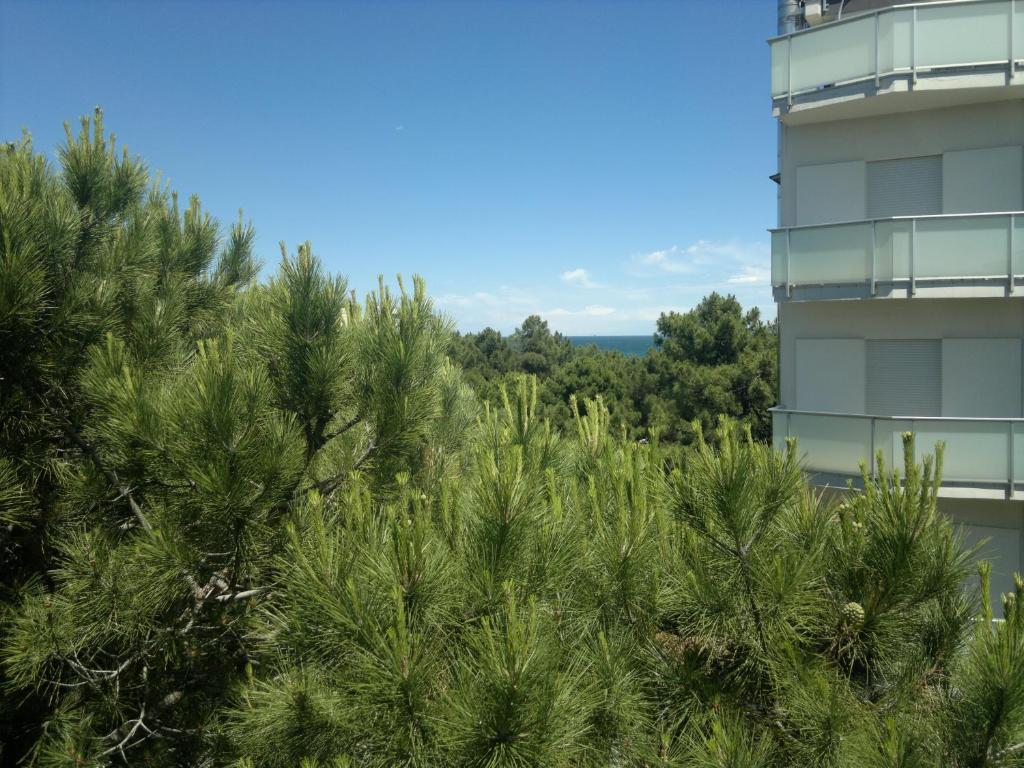 Hotel Dom Milano Marittima Exterior foto